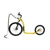 HONDENSTEPPEN  width=