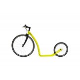 RACE STEPPEN  width=