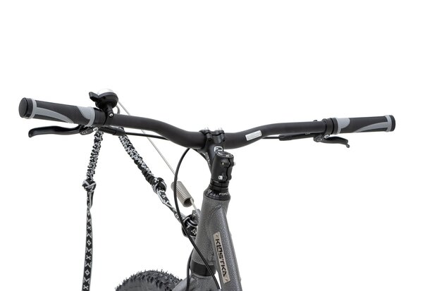 Kostka Mushing Racer Max (G6)